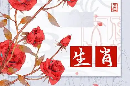 2025最吉利的生肖 哪個生肖運勢好